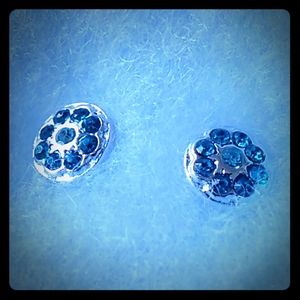 Blue floral Silvertone fashion stud earrings